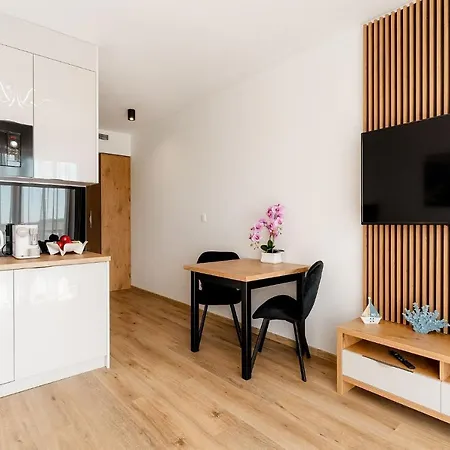 Apartment Igma